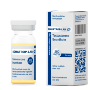 Testostérone Enanthate - Somatrop Lab - 250mg/mL